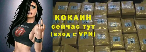 стафф Ладушкин