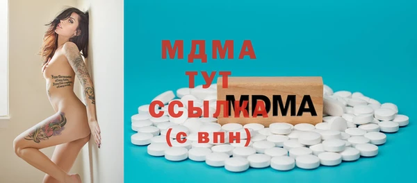 индика Приозерск