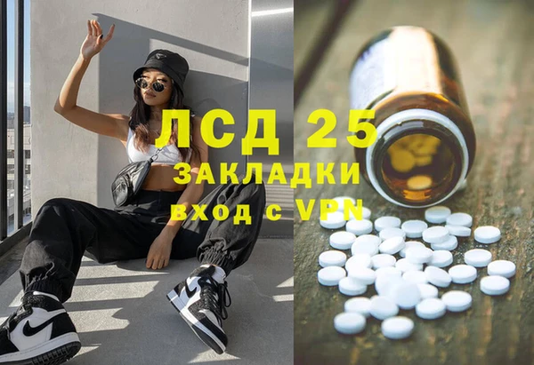 винт Липки