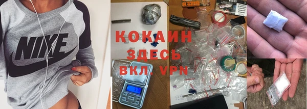стафф Ладушкин