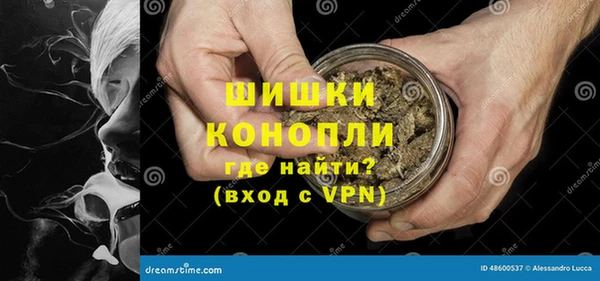 стафф Ладушкин