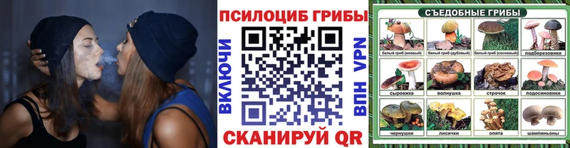 Галлюциногенные грибы Psilocybine cubensis  Сураж 