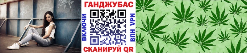 Каннабис план  магазин продажи   Сураж 